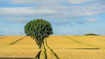Rural west Dorset is beautifully unspoilt.