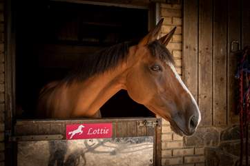 Look out for Lottie when you visit!