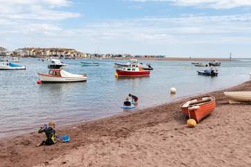 Explore the beautiful south Devon coast.