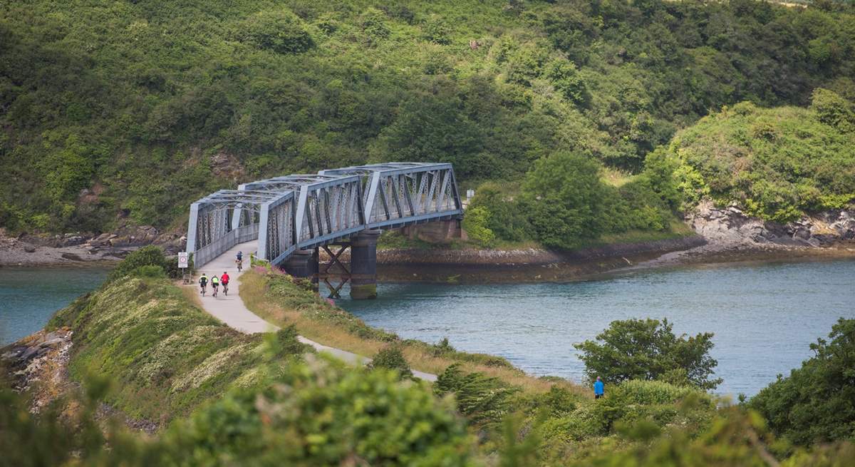 Hire some bikes and head off along the Camel Trail leading to Bodmin Moor in one direction and out to Padstow on the coast in the other.