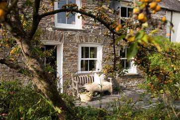The front of the house catches the morning sun. Sit quietly with a cup of coffee and listen to the morning bird song.