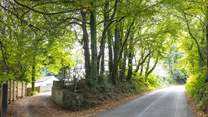 The access to Apple Cottage. Follow the driveway up to the shared parking areas at the top. Apple Cottage's parking is situated to the right of the driveway (as marked).