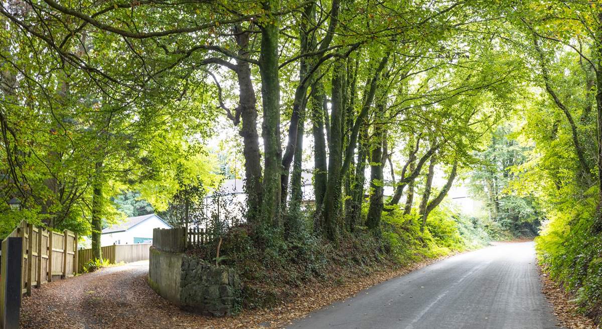 The access to Apple Cottage. Follow the driveway up to the shared parking areas at the top. Apple Cottage's parking is situated to the right of the driveway (as marked).