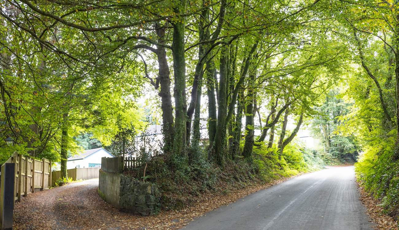 The access to Apple Cottage. Follow the driveway up to the shared parking areas at the top. Apple Cottage's parking is situated to the right of the driveway (as marked).
