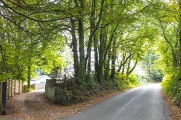 The access to Apple Cottage. Follow the driveway up to the shared parking areas at the top. Apple Cottage's parking is situated to the right of the driveway (as marked).