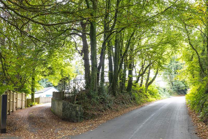 The access to Apple Cottage. Follow the driveway up to the shared parking areas at the top. Apple Cottage's parking is situated to the right of the driveway (as marked).