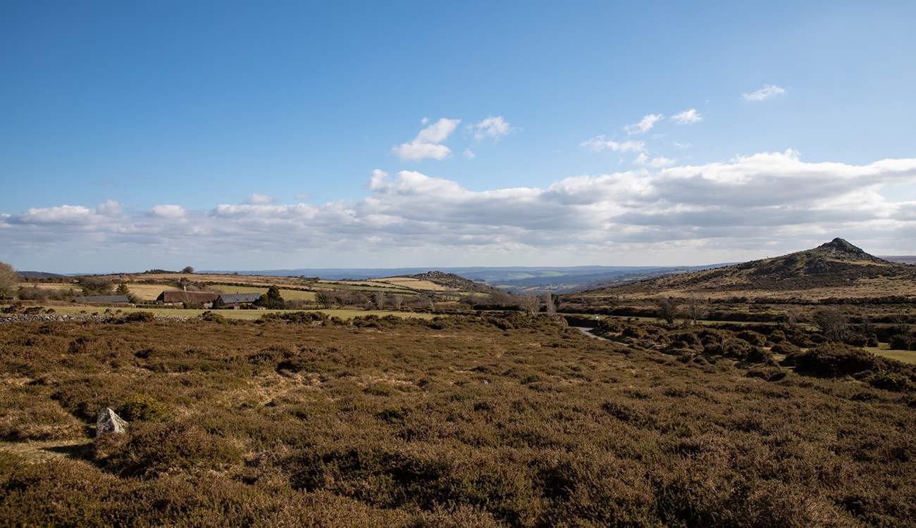 Exploring the vast and rugged countryside of Dartmoor National Park is a must.