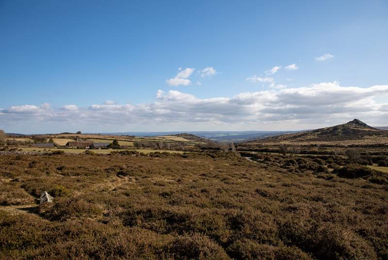 Exploring the vast and rugged countryside of Dartmoor National Park is a must.