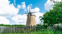 Bembridge windmill is a lovely spot for a picnic. 