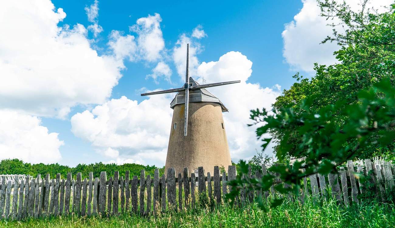 Bembridge windmill is a lovely spot for a picnic. 