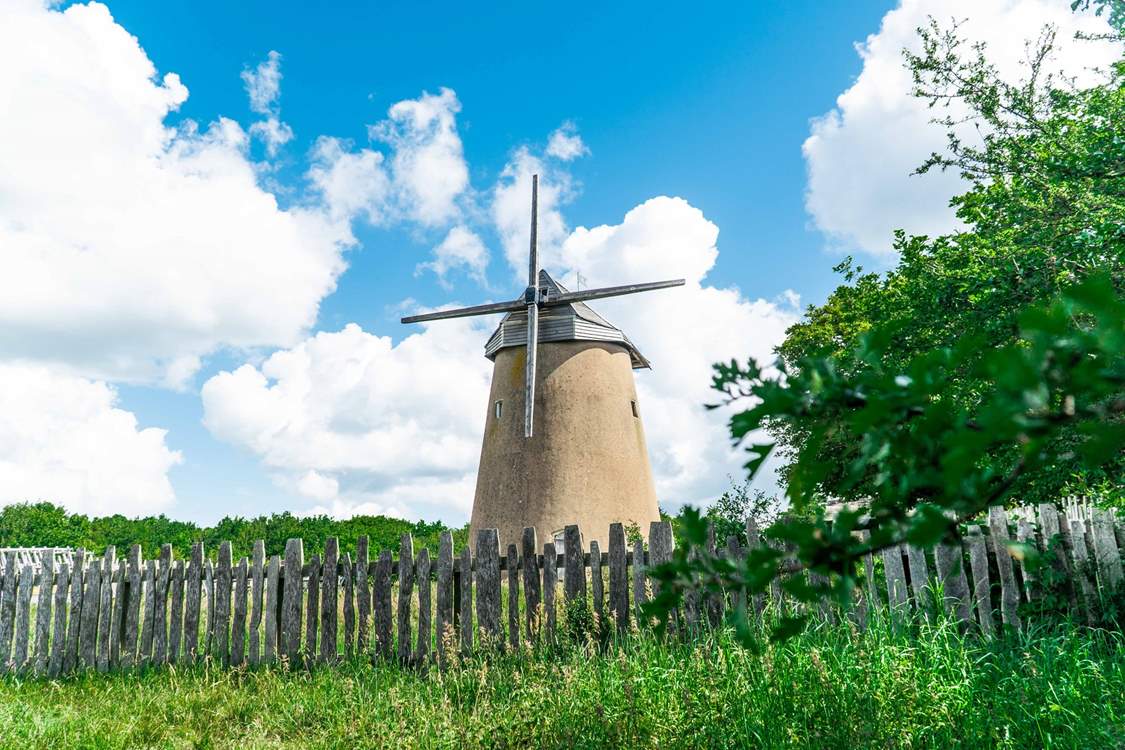 Bembridge windmill is a lovely spot for a picnic.