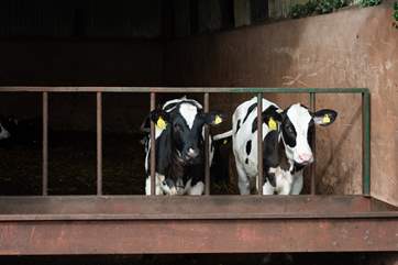 Your friendly neighbours will become a familiar sight.