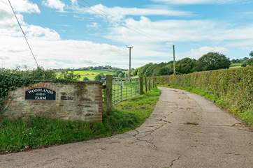 Welcome to Woodlands Farm.