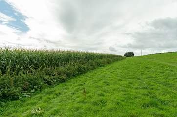 You are welcome to walk through the fields that are on your doorstep.