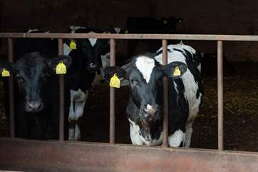 Say hello to your neighbours!