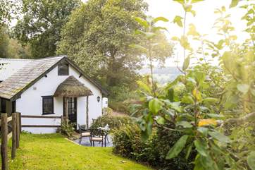 Pretty glimpses of Devon's gorgeous countryside.