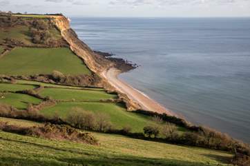 Nearby Salcombe Regis has impressive cliffs.