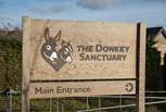 The Donkey Sanctuary at nearby Salcombe Regis has free admission and is home to hundreds of rescued donkeys and mules.