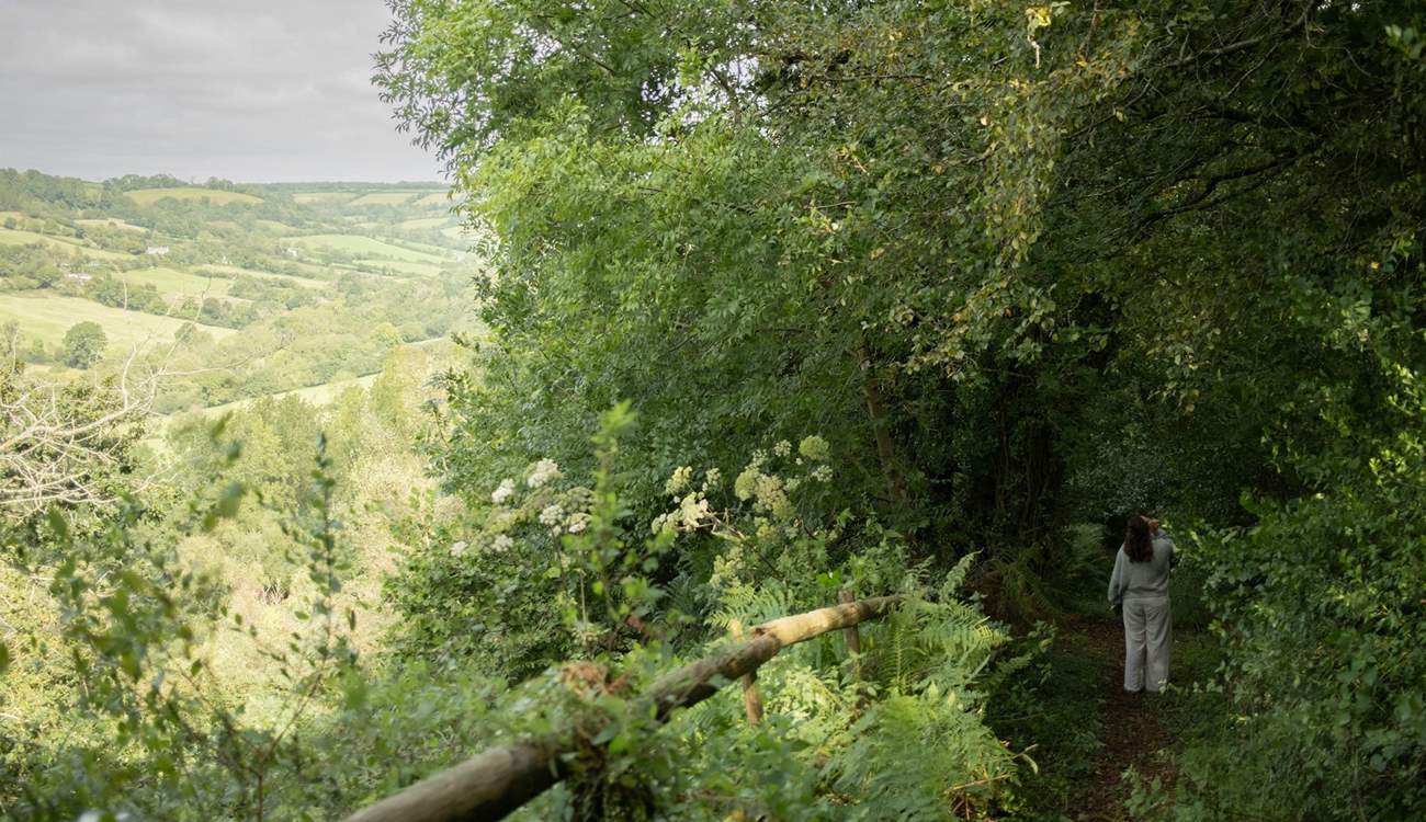 Explore the beautiful grounds with your four-legged friend in tow. 