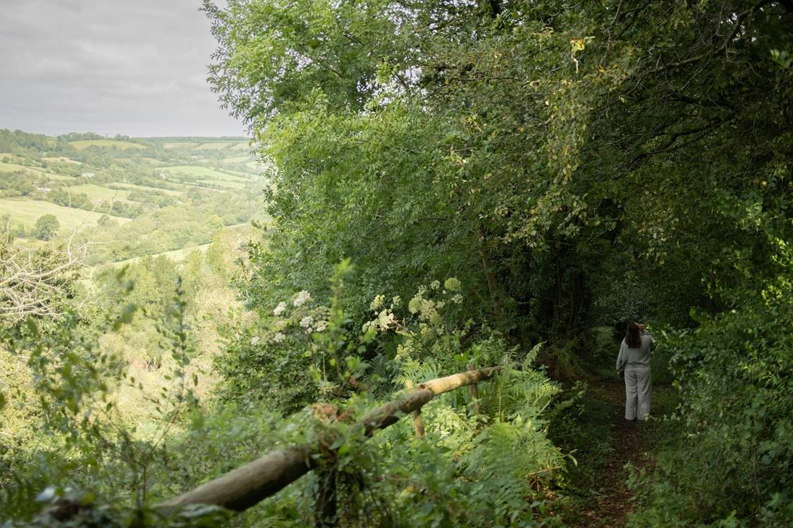 Explore the beautiful grounds with your four-legged friend in tow.