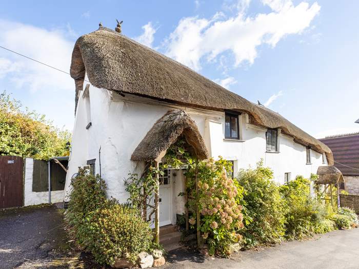 Pooks Hill Cottage, Sleeps 3 in Dawlish