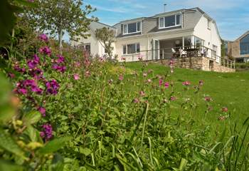 The garden is an oasis for indigenous wildflowers to thrive.