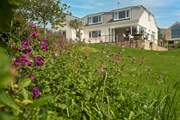 The garden is an oasis for indigenous wildflowers to thrive.