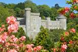 Explore Caerhays Castle and the stunning spring gardens.