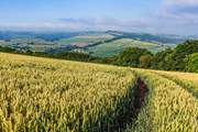Rural Somerset will capture your heart.