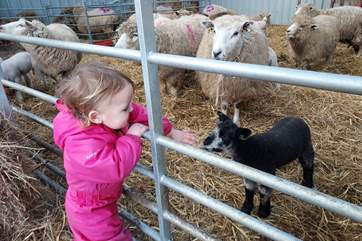 The owners' neighbours have animals you can visit and local produce you can purchase.