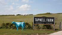 Tapnell Farm offers an action packed day for everyone. 