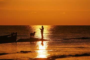Enjoy a break away with your four-legged friend!