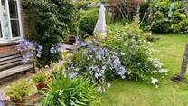 Wonderful colourful plants to admire in those spring and summer months. 