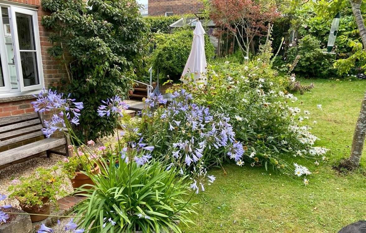 Wonderful colourful plants to admire in those spring and summer months.