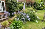 Wonderful colourful plants to admire in those spring and summer months.