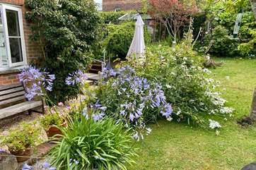 Wonderful colourful plants to admire in those spring and summer months.