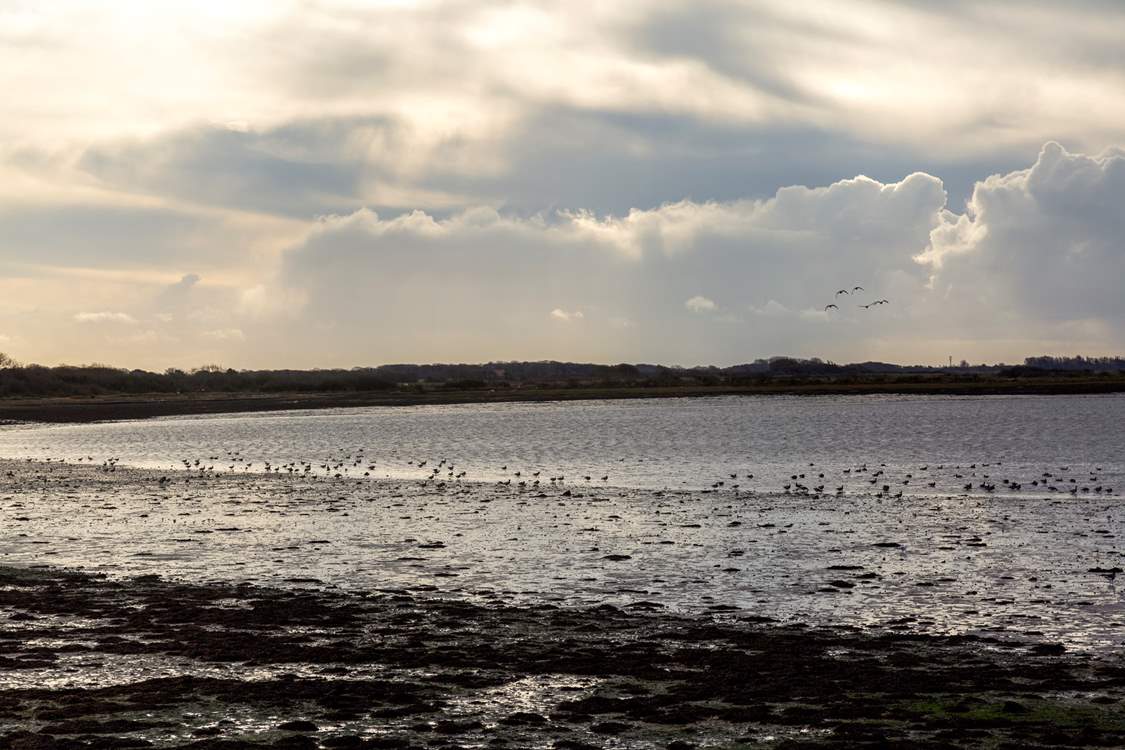 A popular area for birdwatchers.