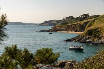 The Roseland is a great spot for a fun day out.