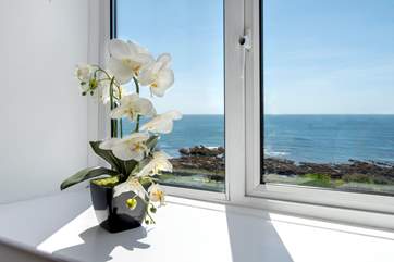 What a view!