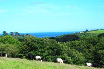 Enjoy the most amazing views on the footpath down to the beach.