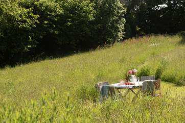 The meadow is shared with Bramley Cottage.