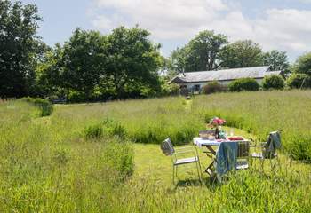 The glorious meadow.