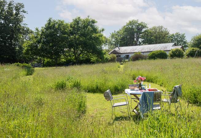 The glorious meadow.
