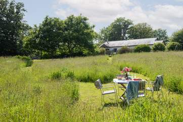 The glorious meadow.