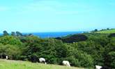 What a view from the footpath down to the beach.  - Thumbnail Image