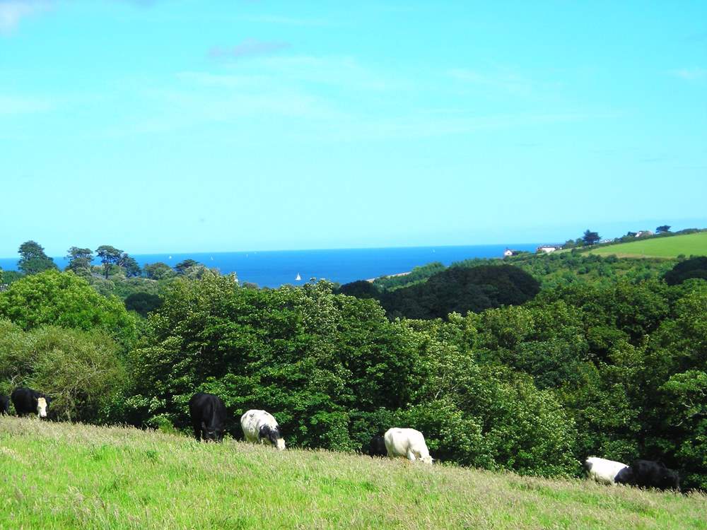 What a view from the footpath down to the beach.