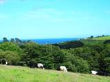 What a view from the footpath down to the beach.