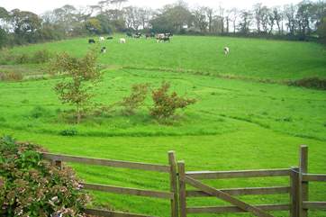 Enjoy all the space on offer winding through the paths in the meadow which is shared with Orchard Cottage.
