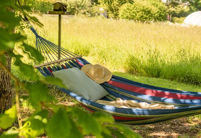 Relax in the hammock.