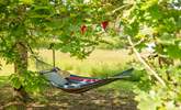 Perfect for warm summer days. - Thumbnail Image